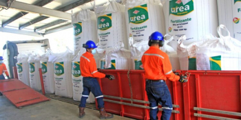 Precio de urea sube en mercado internacional