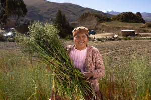 Programa “Mujer BDP” financió a 4.356 unidades productivas y generó 22.841 empleos