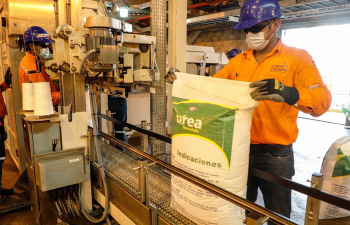 YPFB reporta ventas de más de 50.000 toneladas métricas de urea en el mercado interno
