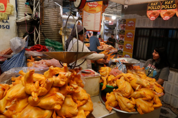 Emapa garantiza venta de pollo a Bs 15,50 el kilo y culpa a intermediarios por incremento del precio