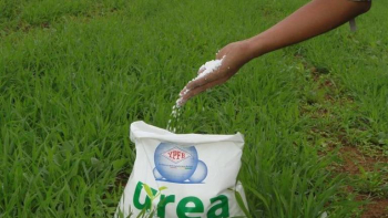 Planta de Úrea va al segundo paro programado en junio