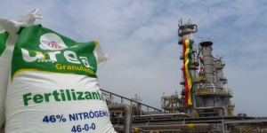 Planta de Amoniaco y Urea reanuda operaciones