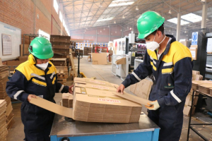 Cartonbol supera ventas previstas y reporta un crecimiento anual del 10%