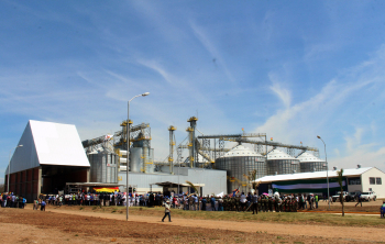 Emapa supera los Bs 1.250 millones en compras de trigo, maíz y arroz para seguridad alimentaria
