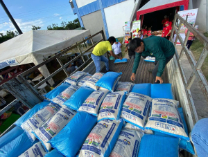 Gobierno importará 40.000 toneladas de arroz para estabilizar precios