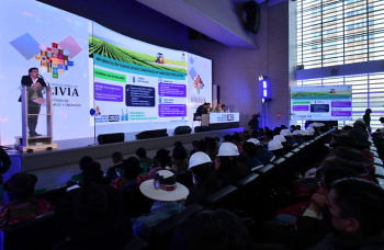 Gobierno prevé que otra planta de urea costará $us 1.290 millones