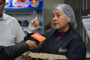 Emapa venderá en los barrios de La Paz, Cochabamba y Santa Cruz la unidad de huevo a Bs 0,76 y Bs 0,80