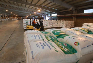 Apuestan convertir a Bolivia en ‘hub de fertilizantes’, pero expertos desconfían por paralización de planta