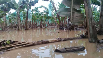 YPFB y Defensa Civil entregan cocinillas y alimentos a pueblos indígenas de Cochabamba