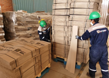 Cartonbol inicia exportación de 632.450 empaques a Chile por un valor de Bs 3,9 millones