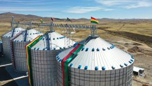 Emapa prevé comprar este año 130.000 toneladas de trigo a “precio expectante”