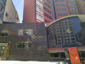 Las utilidades que genere la Gestora Pública contribuirán al Fondo Solidario y a la Renta Dignidad