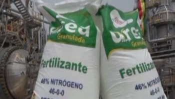 Bolivia logró exportar 238.853 toneladas de urea al exterior