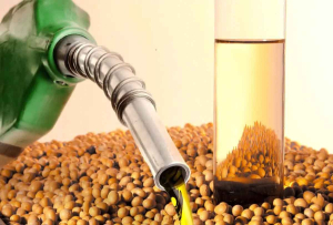 Construcción de segunda Planta de Biodiésel concluirá en noviembre y elevará la producción de biocombustibles