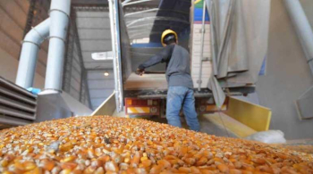 Emapa garantiza a pecuarios 290.000 t de maíz en 2024, pide tranquilidad frente a especulación por la sequía