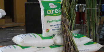 Siete países demandan urea y Bolivia deberá aumentar producción de gas