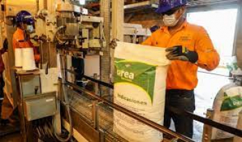 La urea generó ingresos superiores a los $us 100 millones en cuatro meses