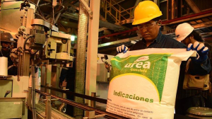 YPFB entregará 2.500 toneladas de urea a la planta de NPK