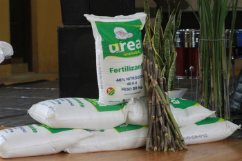 Urea boliviana genera demanda en siete naciones y YPFB alista una segunda planta