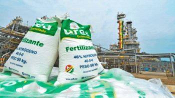 La venta de urea generó ingresos por $us 100 millones en cuatro meses, según YPFB