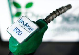 Planta de Biodiésel – 1 se construirá con $us 40 millones y prevén que inicie operaciones en 2023