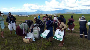 La urea reduce costos de producción hasta en 40%
