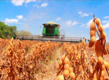 Proyecto biodiésel puede iniciar con 5% de mezcla