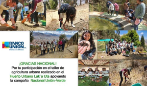 Banco Unión promueve acciones en beneficio del medio ambiente