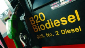 La planta de biodiesel de YPFB costará $us 25 millones más que una similar de Paraguay