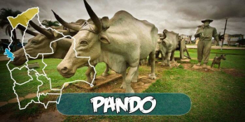 YPFB proyecta $us 73,9 millones de renta petrolera para Pando