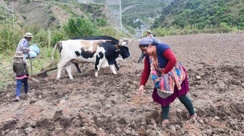 Gobierno inyecta Bs 3.000 millones para desestacionalizar la producción agrícola