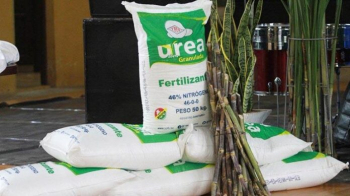Deciden bajar precio de la urea para el mercado local