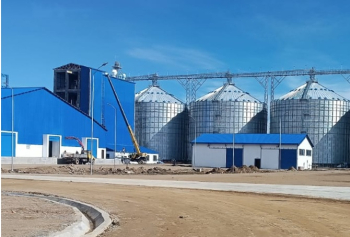 Emapa prevé acopiar 150.000 t de trigo para la producción de harina en el molino de Viacha