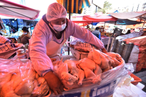 El Gobierno garantiza abastecimiento de carne de pollo y res