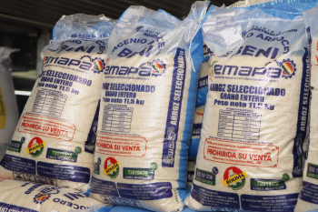 Bolivia registra superávit de 23.560 toneladas de arroz, Emapa sube venta mensual a 65.000 quintales