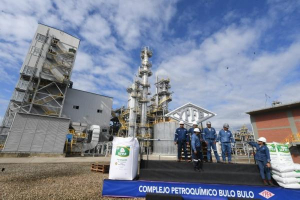 Planta de urea reportará $US 120 MM de ingresos