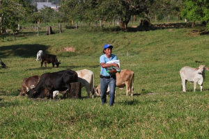 Ganaderos del país realzan calidad de la urea boliviana