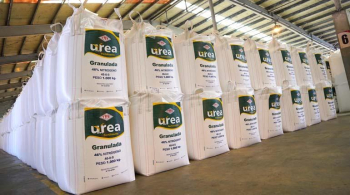 YPFB proyecta cubrir con Petrobras 40% de la demanda de urea en Brasil con nueva planta