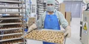 EBA revierte pérdidas y genera Bs 11,7 millones en utilidades