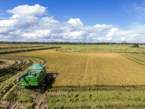 YPFB entrega 2.000 toneladas de urea a cooperativa cruceña para producción de arroz