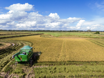 YPFB entrega 2.000 toneladas de urea a cooperativa cruceña para producción de arroz