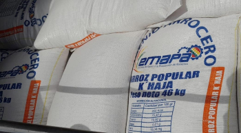 Bolivia tiene suficiente arroz y un stock de más de 40.000 toneladas, Gobierno advierte con sanciones a especuladores