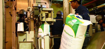 YPFB fija el precio de la urea en $us 554 para el mercado interno y dispone un descuento del 8%