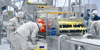 La planta de papa brilla entre las primeras estrellas de la industrialización