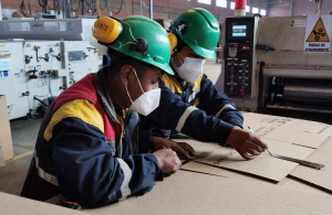 Envibol, Cartonbol y Papelbol obtienen más de Bs 22 millones por exportaciones en los últimos dos años