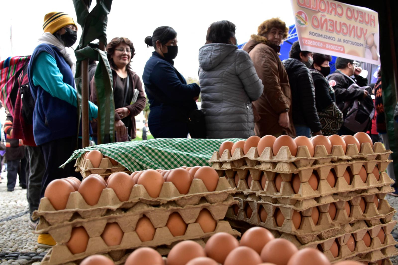 Emapa habilitará puntos móviles en cada barrio para vender huevo a Bs 0,80