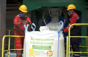 YLB registra cifra histórica de ventas en 2022 con Bs 555,2 millones