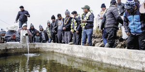 Entregan 12 estanques equipados para la crianza de trucha en la localidad de Tiraque