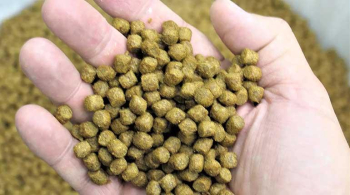 Emapa espera aprobación del Senasag para iniciar venta de alimento balanceado para peces