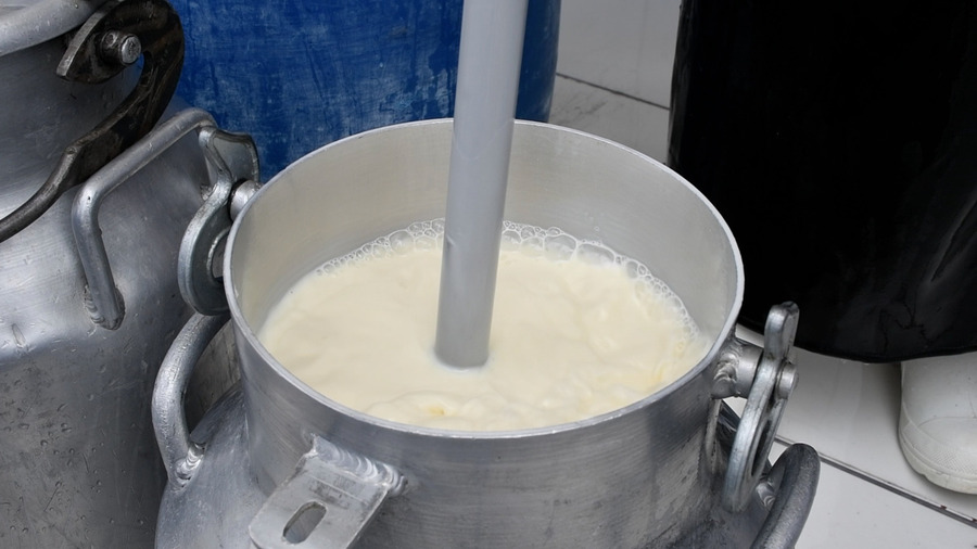 Gobierno destaca respaldo sostenido al sector lácteo y desmiente falta de apoyo